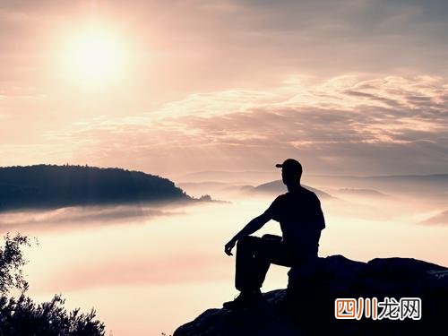 魔王松鼠价格