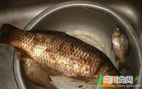 自然河道禁止钓鱼合法吗
