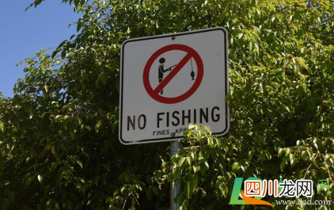 自然河道禁止钓鱼合法吗