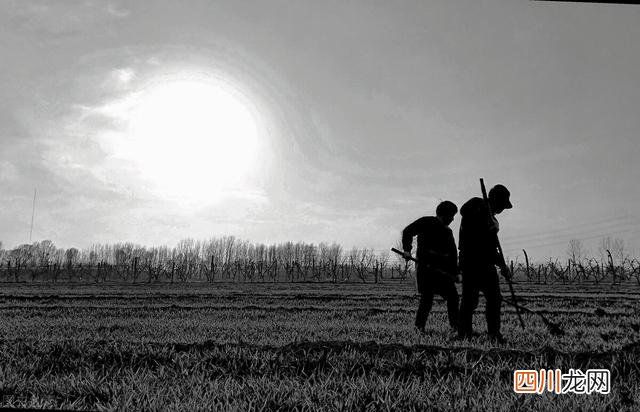 在河南发现了隋唐时期的粮仓。经过数千年的不腐败，粮食可以发芽