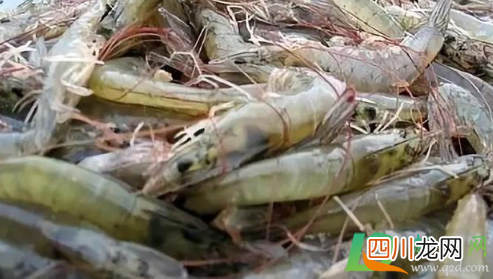 防城港一超市冻库地板检测阳性是真的吗