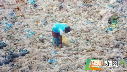 日本福岛核污水可能损害人类DNA真的吗