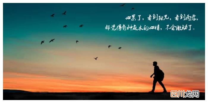 感觉心累，心态要崩溃了 说不出的压抑和心累