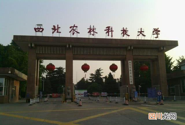 3所985高校直接被降级 985里最差的十所大学