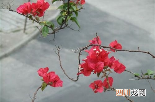 快手主页介绍个性资料怎么写 快手主页介绍个性签名大全