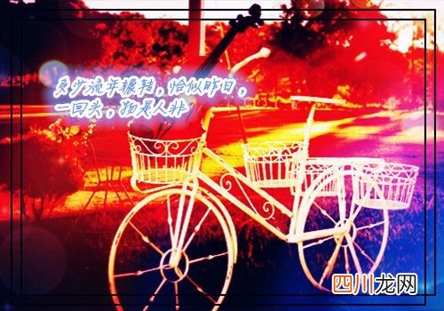 抖音吸引人点赞关注的签名汇编49句