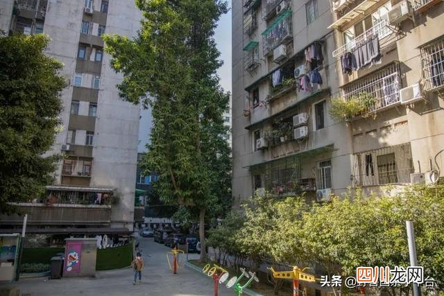有宫崎骏、大闹天宫等珍贵手稿的私人博物馆！必须带娃来
