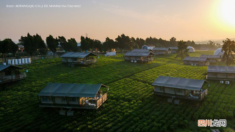 「KK旅行酱」在茅山森林世界玩出新花样