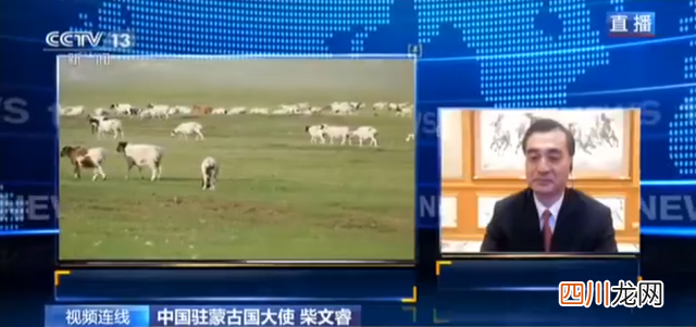 蒙古国送的3万只羊，到中国就会变成羊肉！愿献给湖北人民