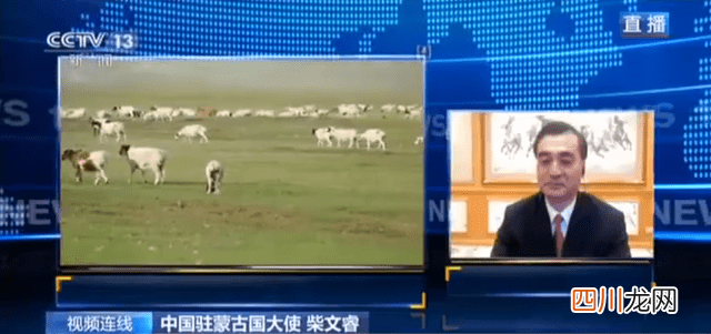 蒙古国送的3万只羊会变成羊肉 吃货网友：准备好了！