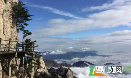 2021河南274家景区免门票是真的吗