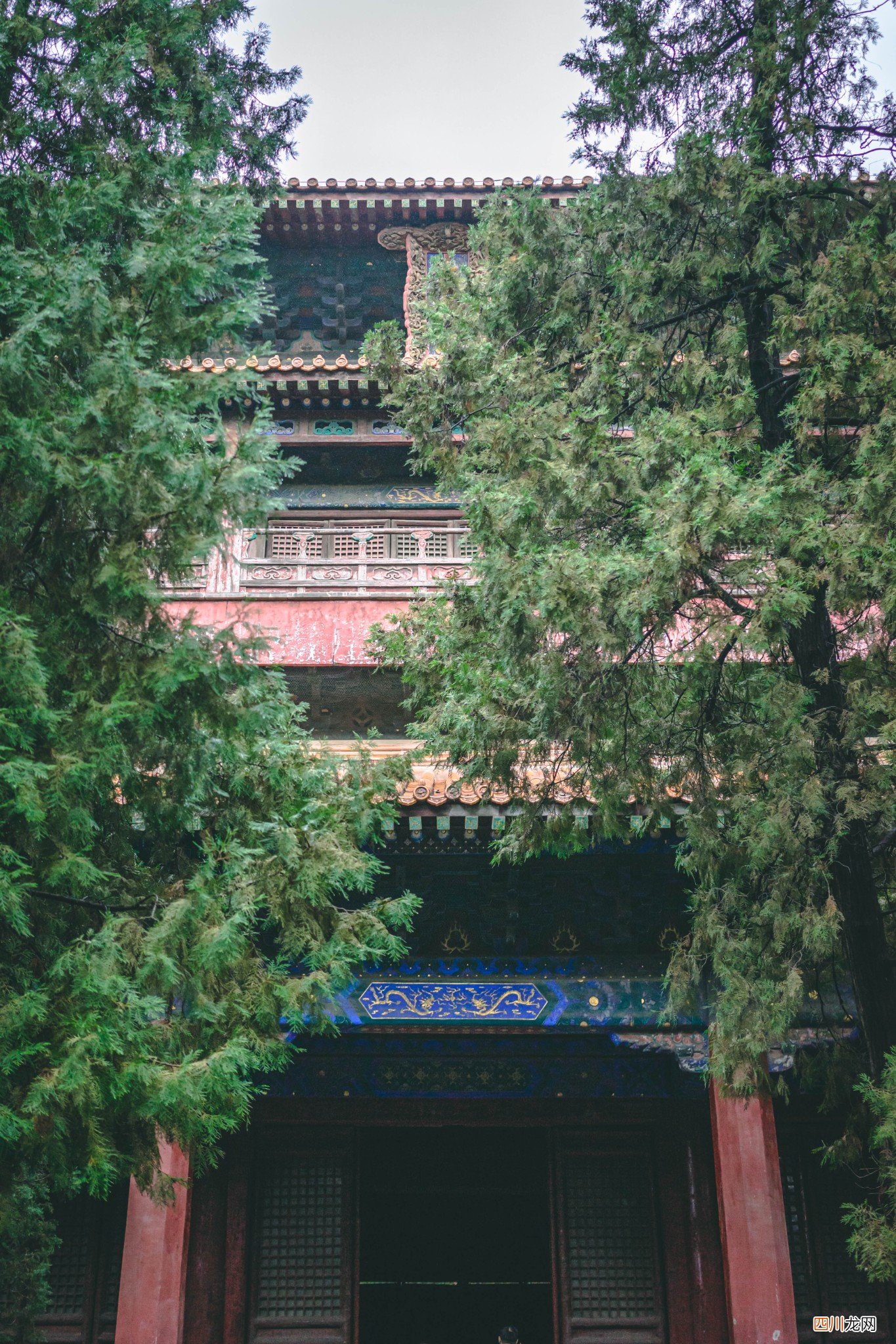 好客山东游，到孔子故里曲阜，感受儒家思想的传承