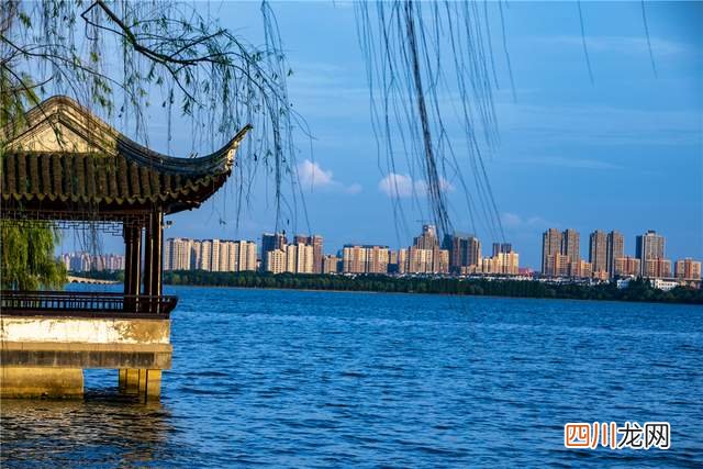 秋天苏州怎么玩，一年一度的文化大餐，各个艺术门类的饕餮盛宴