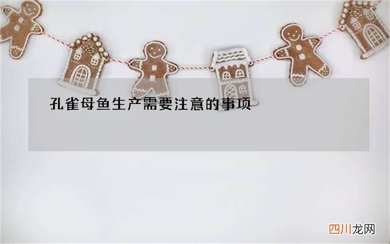 孔雀母鱼生产需要注意的事项
