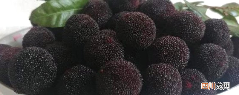 杨梅怎么煮酸梅汤