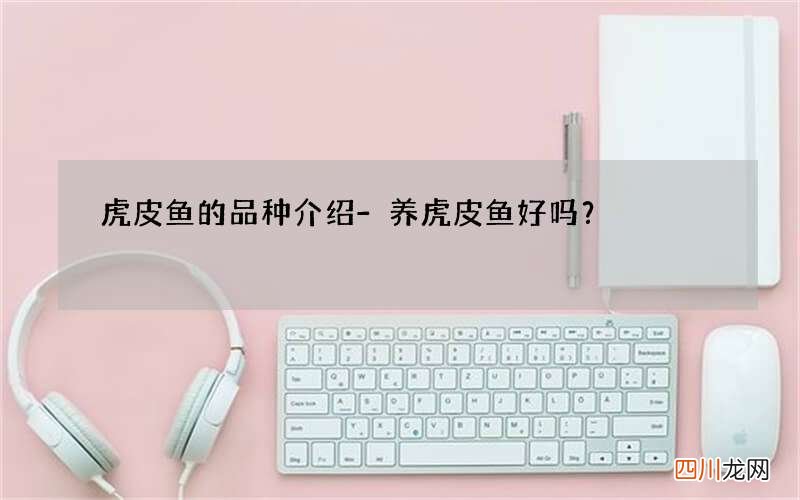 虎皮鱼的品种介绍-养虎皮鱼好吗？