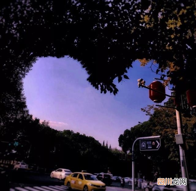 南京真的适合生活吗？在南京两天，让我大开眼界
