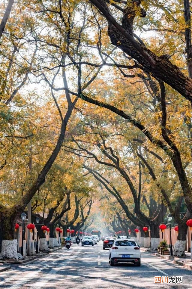 南京真的适合生活吗？在南京两天，让我大开眼界