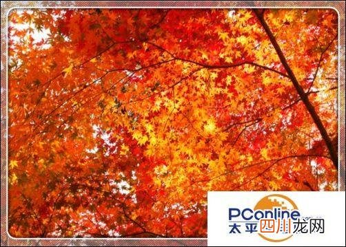 win7笔记本摄像头怎么开启 笔记本摄像头怎么打开