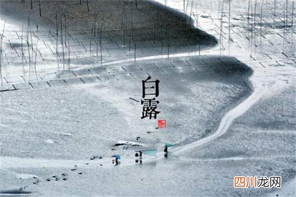 白露节气的含义是什么 白露有哪些习俗
