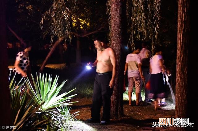 现在农民种什么最挣钱 种什么最赚钱