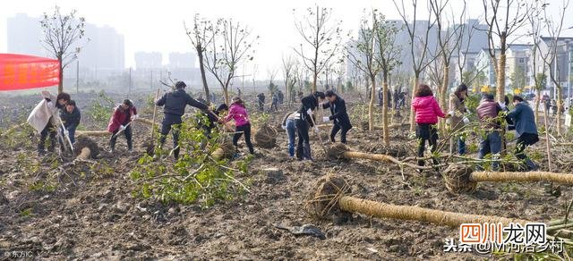 现在农民种什么最挣钱 种什么最赚钱