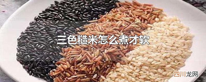 三色糙米怎么煮才软