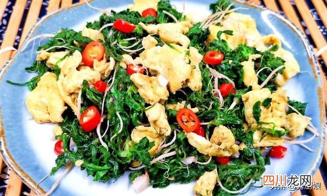 春天，有钱没钱，多吃5种“高钙菜”，鲜嫩美味营养全，别不懂吃