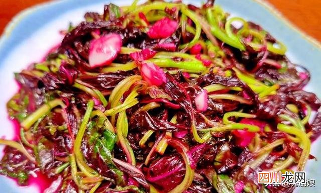 春天，有钱没钱，多吃5种“高钙菜”，鲜嫩美味营养全，别不懂吃