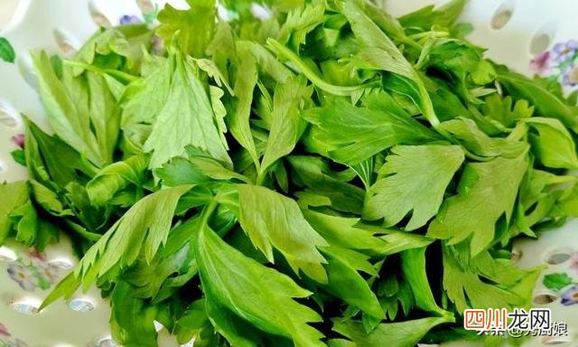 春天，有钱没钱，多吃5种“高钙菜”，鲜嫩美味营养全，别不懂吃