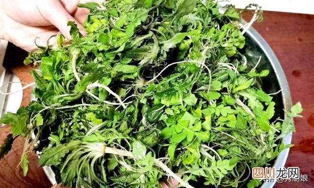 春天，养肝“黄金期”，多吃5种蔬菜，鲜嫩营养，应季而食身体棒
