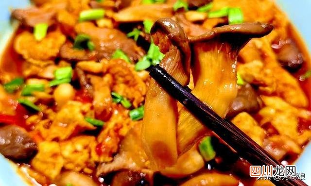 春天，韭菜荠菜靠边站，多吃平菇，鲜嫩美味营养极高，炒鸡蛋真香