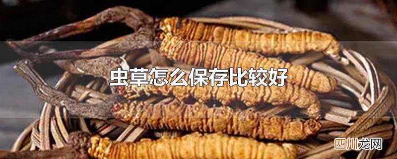 虫草怎么保存比较好