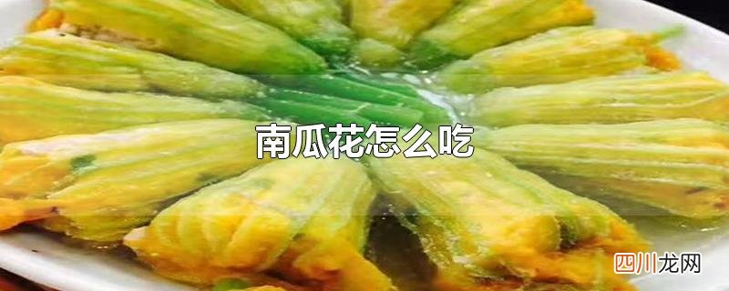 南瓜花怎么吃