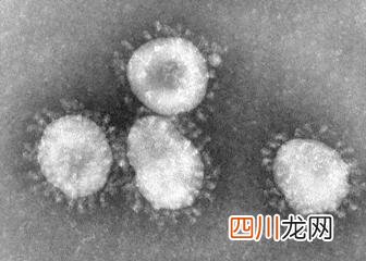 当年历时9个月的SARS，是因为夏天到来才消失的吗？ 非典是什么时候发生的