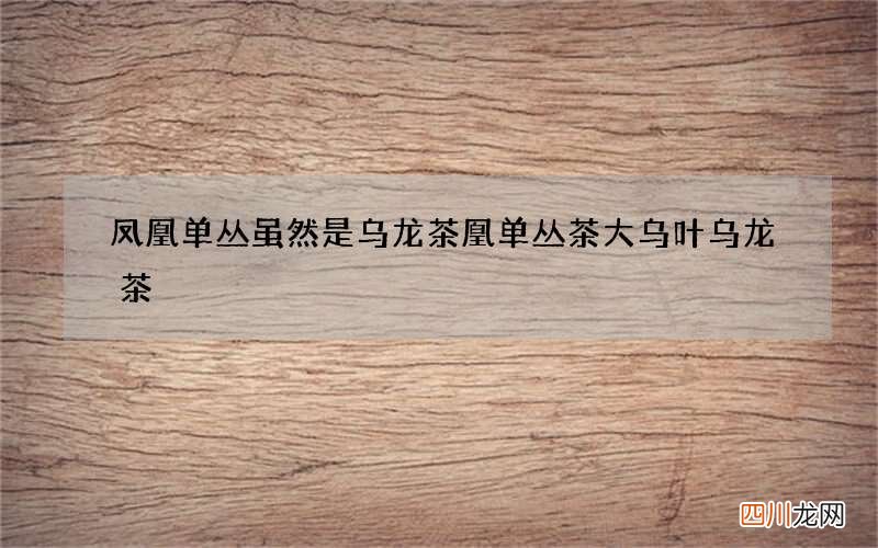 凤凰单丛虽然是乌龙茶 凰单丛茶大乌叶乌龙茶