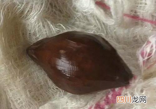 油煮做旧 油炸上色好不好？如何鉴别油炸做旧的橄榄核手串？