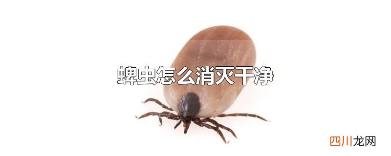 蜱虫怎么消灭干净