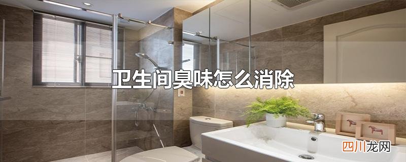 卫生间臭味怎么消除