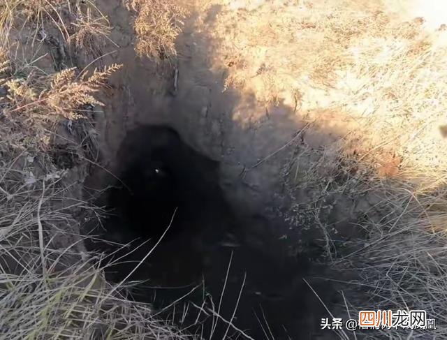 我的盗墓经历：挖到4件青铜器后不敢再往里挖了，怕洞塌了被活埋
