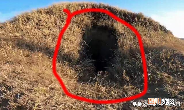 我的盗墓经历：挖到4件青铜器后不敢再往里挖了，怕洞塌了被活埋