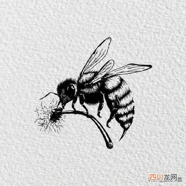 奉子成婚的人都后悔了吗 奉子成婚是什么意思