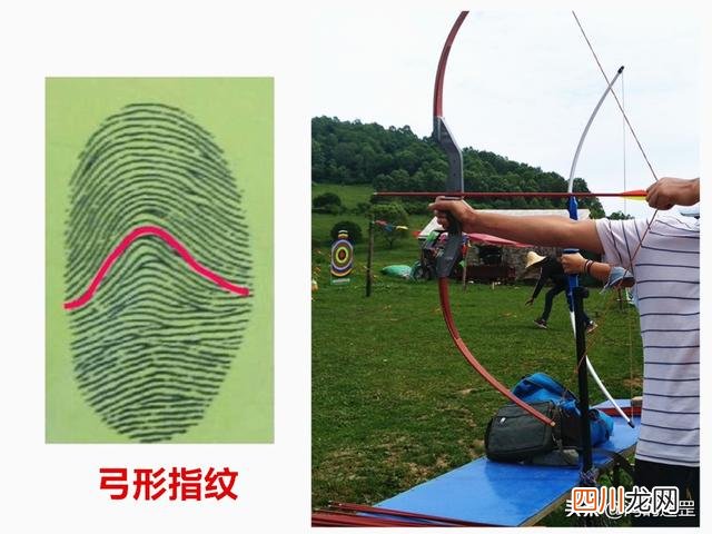 俗语“一斗穷二斗富”，汉武帝有10个“簸箕”，指纹真有那么神奇