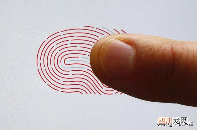 俗语“一斗穷二斗富”，汉武帝有10个“簸箕”，指纹真有那么神奇