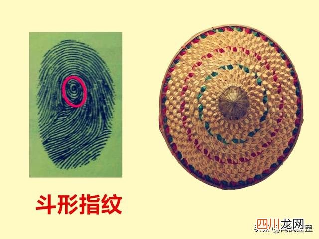 俗语“一斗穷二斗富”，汉武帝有10个“簸箕”，指纹真有那么神奇