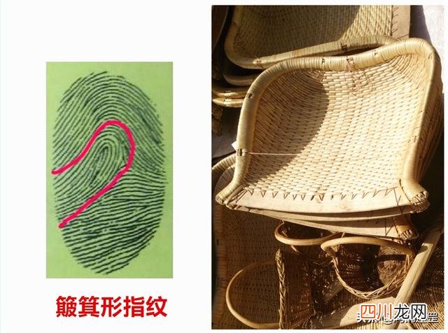 俗语“一斗穷二斗富”，汉武帝有10个“簸箕”，指纹真有那么神奇