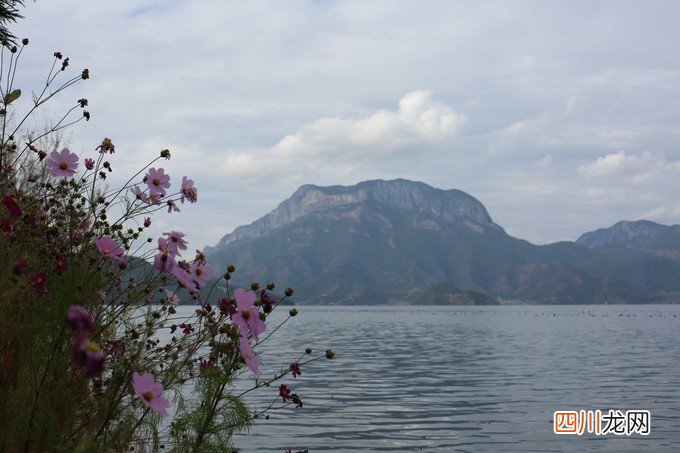 惬意丽江：到泸沽湖看景，到束河古镇享受生活