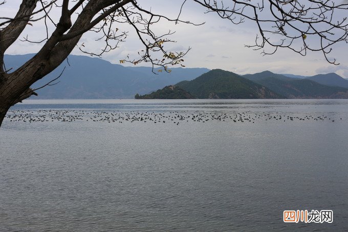 惬意丽江：到泸沽湖看景，到束河古镇享受生活