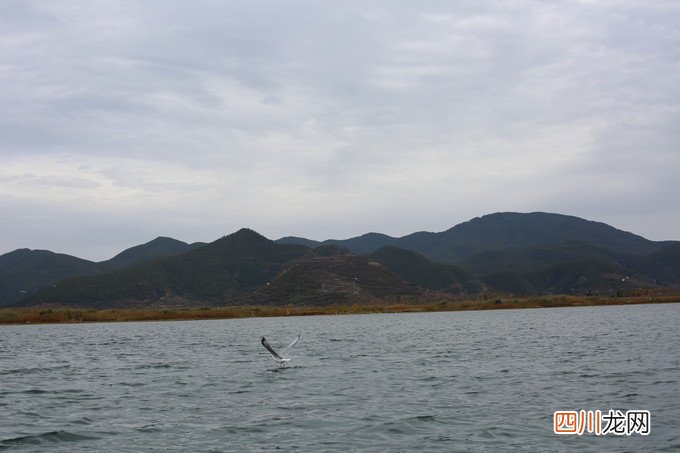 惬意丽江：到泸沽湖看景，到束河古镇享受生活