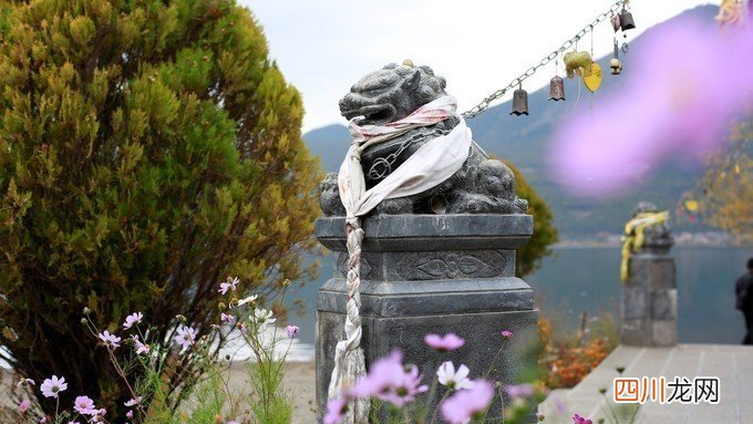 惬意丽江：到泸沽湖看景，到束河古镇享受生活